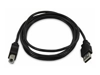 StarTech.com - USB-kabel - TAA-kompatibel - USB (han) til USB Type B (han) - USB 2.0 SKUSBAB06-TAA