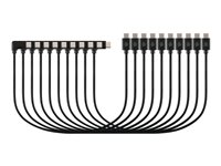 Kensington - USB-kabel - 24 pin USB-C (han) til 24 pin USB-C (han) vinklet - USB 2.0 - 3 A - 3.5 m - sort (pakke med 10) K32302WW