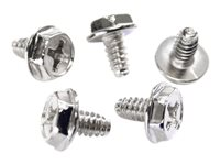 StarTech.com Replacement PC Mounting Screws #6-32 x 1/4in Long Standoff - Screw kit - silver - 0.2 in (pack of 50) - SCREW6_32 - Skruesæt - sølv - 0.6 cm (pakke med 50) - for P/N: PCSCREWKIT SCREW6_32
