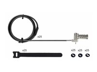 StarTech.com 25-Pack Laptop Lock, Compatible w/Noble Wedge/Nano/K-Slot - Sikkerhedskabelslås - sort, sølv - 2 m - TAA-kompatibel (pakke med 25) UNIVCS25-LAPTOP-LOCK