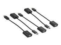 StarTech.com 5-Pack DisplayPort to VGA Adapter, DisplayPort 1.2 HBR2 to VGA Active Adapter, Digital DP to Analog VGA Video Converter Dongle, DisplayPort Male to VGA Female Monitor Adapter - Active DP 1.2 to VGA (DP2VGA3X5) - Videoadapter - DisplayPort (han) til HD-15 (VGA) (hun) - DisplayPort 1.2 - 10 cm - 1080p support, aktiv - sort (pakke med 5) DP2VGA3X5