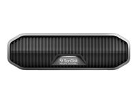 SanDisk - Harddisk - Enterprise - 4 TB - ekstern (stationær) - USB 3.2 Gen 2 (USB-C stikforbindelse) - 7200 rpm SDPHF1A-004T-MBAAD