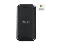 SanDisk Professional PRO-G40 - SSD - 2 TB - ekstern (bærbar) - USB 3.2 Gen 2 (USB-C stikforbindelse) SDPS31H-002T-GBCND