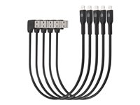 Kensington Charge & Sync Cable - Lightning-kabel - USB han til Lightning han - 20 cm - sort (pakke med 5) K67864WWA