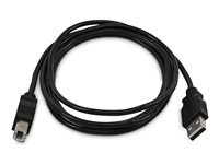 StarTech.com - USB-kabel - TAA-kompatibel - USB (han) til USB Type B (han) - USB 2.0 SKUSBAB10-TAA