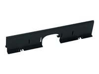 APC - Panel til skærmning af kabel - sort AR8183BLK