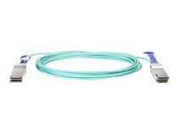 HPE Active Optical Cable - 100GBase-kabel til direkte påsætning - QSFP28 til QSFP28 - 5 m. - fiberoptik - aktiv - for HPE SN2410, SN3700, SN3700cM 100, SN3800M 100, SN4600, SN4600cM 100; M-Series SN3800 Q9S71A