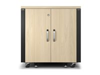 APC NetShelter - Rack (lodret) - lydtæt - AC 100-230 V - ahornfarvet - 12U - 19" - TAA-kompatibel AR4012A