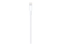 Apple - Lightning-kabel - Lightning han til USB han - 1 m MUQW3ZM/A