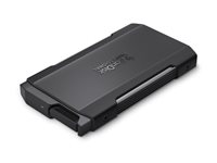 SanDisk Professional PRO-BLADE TRANSPORT - SSD - 2 TB - ekstern (bærbar) - USB 3.2 Gen 2x2 (USB-C stikforbindelse) SDPM2NB-002T-GBAND