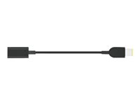Lenovo USB-C to Slim-tip Cable Adapter - Stikadapter - USB-C hun til strøm han 4X90U45346