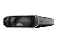 SanDisk - Harddisk - Enterprise - 18 TB - ekstern (stationær) - USB 3.2 Gen 2 (USB-C stikforbindelse) - 7200 rpm SDPHF1A-018T-MBAAD