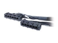 APC Data Distribution Cable - Netværkskabel - TAA-kompatibel - RJ-45 (hun) til RJ-45 (hun) - 4 m - UTP - CAT 6 - sort DDCC6-013
