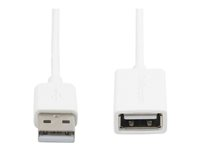 StarTech.com 3m White USB 2.0 Extension Cable Cord - A to A - USB Male to Female Cable - 1x USB A (M), 1x USB A (F) - White, 3 meter (USBEXTPAA3MW) - USB forlængerkabel - USB (hun) til USB (han) - USB 2.0 - 3 m - formet - hvid - for P/N: MSDREADU2OTG, USBEXTPAA1MW, USBEXTPAA2MW, USBPAUB1MW, USBPAUB2MW, USBPAUB50CMW USBEXTPAA3MW
