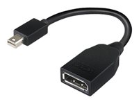 Lenovo - DisplayPort adapter - Mini DisplayPort (han) til DisplayPort (hun) - 17.6 cm - for ThinkCentre M70; M75t Gen 2; M80; M90; ThinkStation P330 Gen 2; P34X; P350; P520; P620 4X90L13971