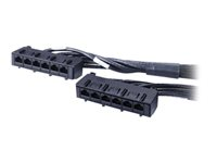 APC Data Distribution Cable - Netværkskabel - TAA-kompatibel - RJ-45 (hun) til RJ-45 (hun) - 3.4 m - UTP - CAT 6 - sort DDCC6-011