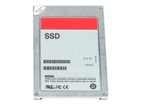 Dell - Customer Kit - SSD - Mixed Use - krypteret - 1.6 TB - 512e - 2.5" (i 3,5" bæreetui) - SAS 24Gb/s - FIPS 140 345-BJTZ