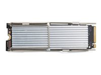 HP - SSD - Value - 512 GB - intern - M.2 2280 - PCIe 4.0 x4 - for Workstation Z2 G9 (mini) 4N008AA