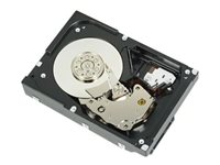 Dell - Customer Kit - harddisk - 12 TB - 512e, ISE - intern - 3.5" - SAS 12Gb/s - 7200 rpm 161-BBFN