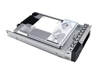 Dell - SSD - Read Intensive - krypteret - 1.92 TB - intern - 2.5" (i 3,5" bæreetui) - SAS 12Gb/s - FIPS 140 - Self-Encrypting Drive (SED) - PM6 Series - for PowerEdge C6420 (3.5") 345-BBWE