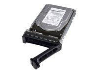 Dell - Customer Kit - SSD - Read Intensive - 480 GB - 512e - 2.5" (i 3,5" bæreetui) - SATA 6Gb/s - for PowerEdge R240, R540, R550, R650, R660, R6615, R6625, R750, R7525, R760, R7615, R7625 345-BGVS