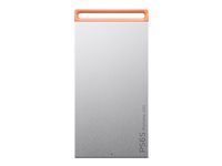 Lenovo PS6S - SSD - 1 TB - ekstern (bærbar) - USB 3.1 Gen 2 (USB-C stikforbindelse) - cool gray 4XB1T88410
