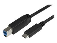 StarTech.com USB C to USB B Printer Cable - 6 ft / 2m - USB C Printer Cable - USB C to USB B Cable - USB Type C to Type B (USB315CB2M) - USB-kabel - 24 pin USB-C (han) til USB Type B (han) - USB 3.1 Gen1 - 2 m - for P/N: HB30C5A2CSC, HBS304A24A, SV231DHU34K6, SV231HU34K6, SV231QDPU34K, SV431HU34K6 USB315CB2M