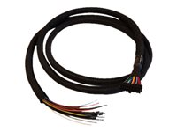 Cradlepoint - GPIO-kabel - 20 pin dobbelt række Molex til uisoleret ledning - 1.98 m - for COR IBR1700-1200M, IBR1700-1200M-B, IBR1700-600M 170712-000