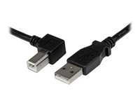 StarTech.com 1m USB 2.0 A to Left Angle B Cable Cord - 1 m USB Printer Cable - Left Angle USB B Cable - 1x USB A (M), 1x USB B (M) (USBAB1ML) - USB-kabel - USB Type B (han) til USB (han) - USB 2.0 - 1 m - venstrevinklet stikforbindelse - sort USBAB1ML
