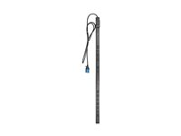 APC Basic Rack PDU Zero U - Strømfordelingsenhed (rackversion) - AC 230 V - input: IEC 60309 - output-stikforbindelser: 24 (power IEC 60320 C13, IEC 60320 C19) - 0U - 3.1 m ledning - sort - for P/N: SMX1500RMNCUS, SRT1000RMXLI, SRT1000RMXLI-NC, SRT10RMXLIX806, SRT5KRMXLW-TW AP7553