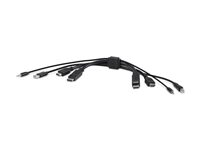Belkin Secure KVM Combo Cable - Video / USB / lydkabel - TAA-kompatibel - HDMI, DisplayPort, ministik, USB (han) til HDMI, DisplayPort, ministik, USB Type B (han) - 3.05 m - 4K support, passivt - sort F1DN2CC-HHPP10T