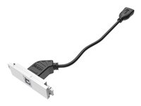 VISION TechConnect 3 USB-b module - Modulær facilitet plade snape-in - USB Type B TC3 USBB