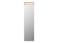Lenovo PS8S - SSD - 1 TB - ekstern (bærbar) - USB 3.2 Gen 2 (USB-C stikforbindelse) - cool gray 4XB1T88412