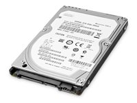 HP Enterprise - Harddisk - 1 TB - 3.5" - SATA 6Gb/s - 7200 rpm - for Workstation Z2 G4, Z2 G5, Z2 G8, Z2 G9, Z4 G4, Z440, Z6 G4, Z8 G4; ZCentral 4R (3.5") W0R10AA