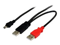 StarTech.com 6 ft USB Y Cable for External Hard Drive - USB A to mini B - USB cable - USB (M) to mini-USB Type B (M) - USB 2.0 - 6 ft - black - USB2HABMY6 - USB-kabel - USB (han) til mini-USB type B (han) - USB 2.0 - 1.8 m - sort - for P/N: SAT1810U2, SLMSOPTB, PEXUSB7LP USB2HABMY6