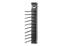 HPE Advanced Power Manager - Strømfordelingsenhed - output-stikforbindelser: 10 - for Apollo n2600 Gen10 Plus Small Form Factor; ProLiant XL290n Gen10 Plus 620002-B21