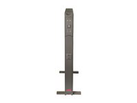 APC Smart-UPS SC 450VA - UPS (rackversion) - AC 120 V - 280 Watt - 450 VA - RS-232 - output-stikforbindelser: 4 - 1U - grå - ikke solgt i CO, VT og WA - for P/N: AR3106SP, AR4018SPX432, AR4024SP, AR4024SPX429, AR4024SPX431, AR4024SPX432, NBWL0356A SC450RM1U