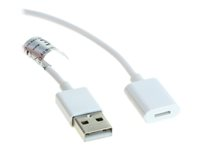 Insmat - Lightning-kabel - USB han til Lightning hun - 1 m - for Apple Pencil 133-1030