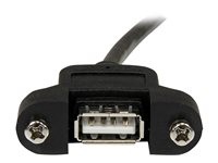 StarTech.com 1 ft Panel Mount USB Cable A to A - F/M - USB extension cable - USB (M) to USB (F) - USB 2.0 - 1 ft - molded, thumbscrews - black - USBPNLAFAM1 - USB forlængerkabel - USB (han) til USB (hun) - USB 2.0 - 30 cm - formet, tommelskruer - sort - for P/N: UUSBOTG USBPNLAFAM1