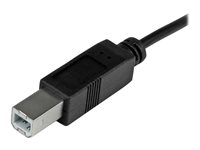 StarTech.com USB C to USB B Printer Cable - 3 ft / 1m - USB C Printer Cable - USB C to USB B Cable - USB Type C to Type B (USB2CB1M) - USB-kabel - 24 pin USB-C (han) til USB Type B (han) - USB 2.0 - 1 m - sort - for P/N: HB30A3A1CFB, HB30A3A1CSFS, HB30C3A1CFB, HB30C3A1CFS USB2CB1M