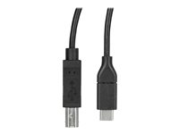 StarTech.com USB C to USB B Printer Cable - 1.6 ft / 0.5m - USB C Printer Cable - USB C to USB B Cable - USB Type C to Type B (USB2CB50CM) - USB-kabel - USB-C (han) til USB Type B (han) - Thunderbolt 3 / USB 2.0 - 50 cm - sort USB2CB50CM
