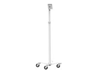 Compulocks Medical Rolling Cart - VESA Compatible - Stativ - for tablet - hvid - gulvstående - for Compulocks Medical Rolling Cart - VESA Compatible MCRSTDW