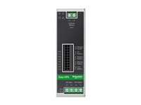 APC BVS480XDPDR - Strømforsyningsadapter (monterbar på DIN rail) - DC 24 V - 480 Watt - grå BVS480XDPDR