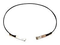 Cisco 40GBASE-CR4 Passive Copper Cable - 40GBase-CR4 direkte påsætningskabel - QSFP til QSFP - 50 cm - passivt - for Nexus 93108TC-EX, 93180YC-FX, 9336C-FX2, 9372PX-E QSFP-H40G-CU0-5M=